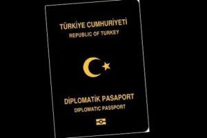 Diplomatik pasaportu olan 136 kişi Almanya'ya iltica başvurusunda bulunmuş