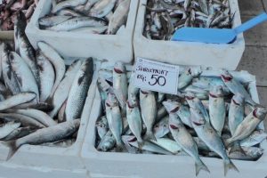 D&uuml;zce'de kilosu 50 TL'ye &ccedil;ıktı
