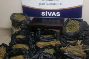 Sivas'ta 44 kilo esrar ele ge&ccedil;irildi