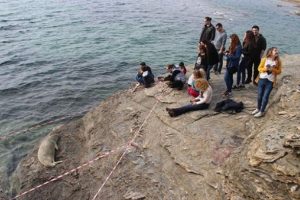 D&uuml;nyada 600-700 adet kalan Akdeniz Foku İzmir'de sahile &ccedil;ıktı