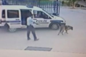 Beylik silahıyla k&ouml;peği vuran komiser FET&Ouml;'c&uuml; &ccedil;ıktı
