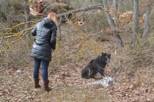 Bursa'da ekipleri alarma ge&ccedil;iren 'siyah kurt' k&ouml;pek &ccedil;ıktı