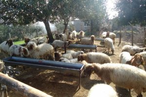 Bursa orman k&ouml;yl&uuml;lerine en fazla destek alan 2. şehir oldu!