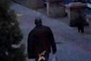 Kedi katliamıyla ilgili g&ouml;zaltı