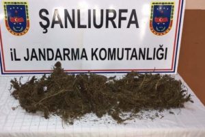 Ak&ccedil;akale'de 1 kilo esrara 2 g&ouml;zaltı