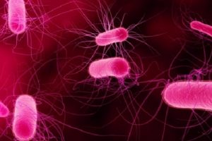DS&Ouml;: Acilen yeni antibiyotikler gerekiyor