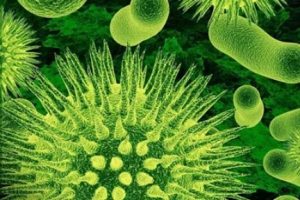 12 &ccedil;eşit bakteriye karşı ila&ccedil; geliştirme &ccedil;ağrısı