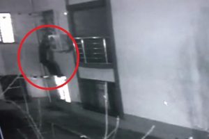 İstanbul'da hırsız &Ouml;r&uuml;mcek Adam'a &ouml;zendi!