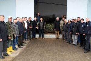 Marmarabirlik 18 bin domat zeytin fidanı dağıtacak