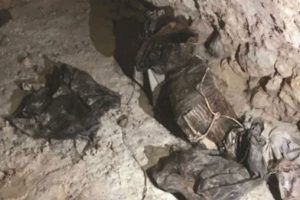 Mardin'de bomba imalat merkezi ortaya &ccedil;ıktı