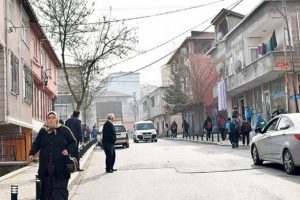 Bonzai peynir ekmek gibi satılıyor!