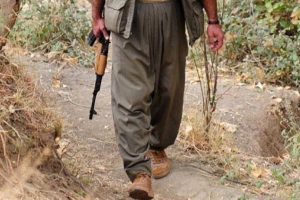 PKK'nın 1,5 milyon TL &ouml;d&uuml;lle aranan s&ouml;zde &ouml;zel kuvvetler sorumlusu &ouml;ld&uuml;r&uuml;ld&uuml;