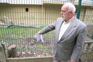Ağa&ccedil;ları kesen komşusundan şikayet&ccedil;i oldu