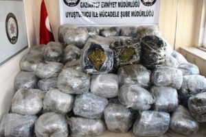 'Alex' 1 ton uyuşturucuyu buldu!