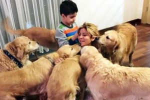 'Golden &Ccedil;etesi'nin yeni yuvası İstanbul oldu