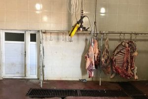 Kesimhaneden 1.5 ton et &ccedil;aldılar