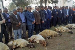Kaymakamlık bah&ccedil;esinde 13 kurban kesildi