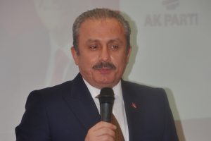 "Erdoğan Almanya'da daha &ccedil;ok tanınan bir isim"