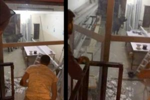 İşyerine giren manda korkuttu!