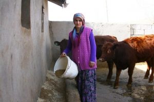 Diyarbakırlı &ccedil;iftin hayatını değiştiren proje