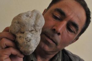 &Ccedil;obanın topladığı 'insan y&uuml;zl&uuml;' taşları dikkat &ccedil;ekiyor