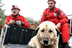 'Karabaş', 10 g&uuml;n sonra bulunup kurtarıldı