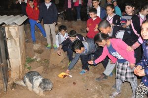 Biriktirdikleri paralarla sokak hayvanlarını beslediler