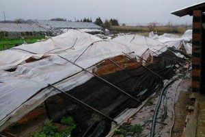 Manavgat'ta hortum seralara zarar verdi