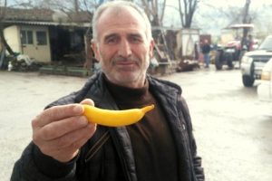 G&ouml;ren muz sanıyor ama ger&ccedil;ek farklı