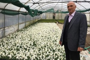 Lale &uuml;reticilerinden Hollanda Başbakanına tepki