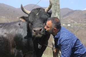 Aralarındaki bağ şaşırtıyor