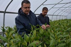Gen&ccedil; &ccedil;ift&ccedil;inin y&uuml;z&uuml;n&uuml; zambak g&uuml;ld&uuml;rd&uuml;