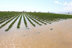 Silifke'de 109 d&ouml;n&uuml;m tarım arazisi sular altında kaldı