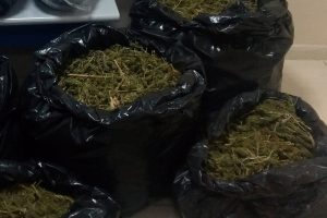 Diyarbakır'da b&uuml;y&uuml;k operasyon devam ediyor