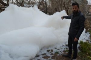 Vatandaşları tedirgin eden k&ouml;p&uuml;k