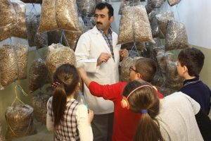 Okulda mantar yetiştirip gelirini ihtiya&ccedil; sahibi arkadaşlarına veriyorlar