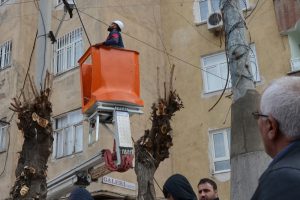 Elektrik tellerine asılı kalan kuş kurtarıldı