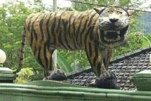 Endonezya ordusu alay konusu olan kaplan heykelini yok etti