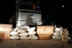 TIR'da 1 milyon liralık uyuşturucu ele ge&ccedil;irildi