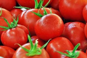 Rusya almadı! Domatesin yeni rotası belli oldu