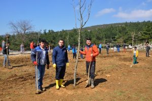 Bursa'daki bu k&ouml;y&uuml;n erkekleri savaşta şehit oldu