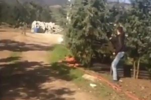 Bursa'da k&ouml;peklere ateş eden iki gen&ccedil; g&ouml;zaltına alındı