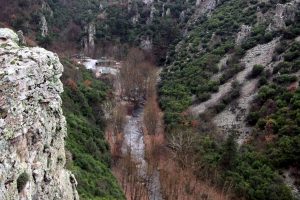D&uuml;nya tedavi olmak i&ccedil;in Bursa Orhaneli'ye gelecek