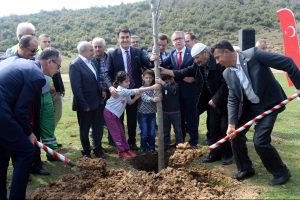 Bursa'da Osmangazi Belediyesi'nden 1 milyon fidan