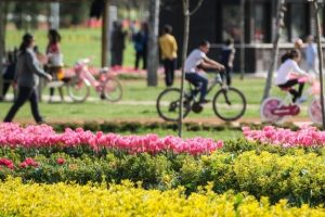 Bursa'da bug&uuml;n ve yarın hava durumu nasıl olacak? (22 Mart 2017 &Ccedil;arşamba)