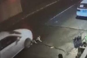 Aracın bilerek ezdiği k&ouml;pek hayata tutunamadı