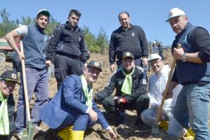 Bursa Gemlik'teki yangının yaraları sarılıyor