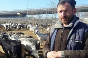60 k&uuml;&ccedil;&uuml;kbaş hayvan ile başladı, Rizeli Orhan'ın b&uuml;y&uuml;k başarısı
