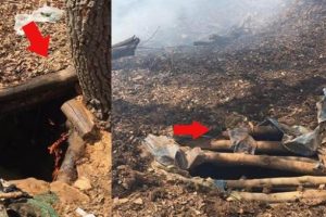 Do&ccedil;ka'larla sızan PKK'ya darbe vuruldu!