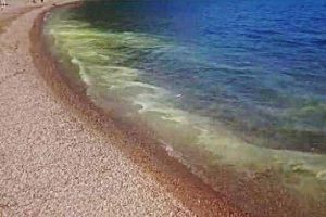 Marmaris'i karıştıran renk